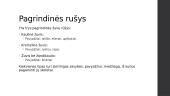 Skaidrės - žuvys 11 puslapis