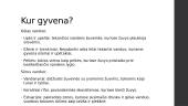 Skaidrės - žuvys 7 puslapis