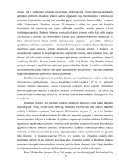 Draudimo žalos administravimo ir brokerių veiklos apektai 12 puslapis