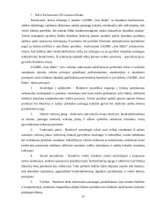 Draudimo žalos administravimo ir brokerių veiklos apektai 18 puslapis