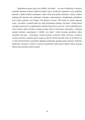 Draudimo žalos administravimo ir brokerių veiklos apektai 19 puslapis