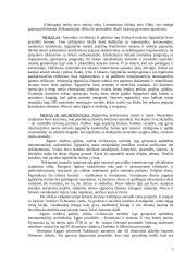 Senosios civilizacijos: Egiptas, Tarpupis 3 puslapis