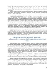 Senosios civilizacijos: Egiptas, Tarpupis 4 puslapis