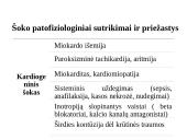 Šokas 11 puslapis