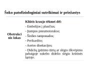 Šokas 12 puslapis