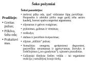 Šokas 14 puslapis