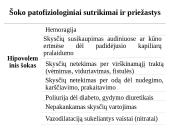 Šokas 10 puslapis