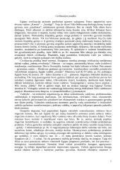 Senovės civilizacijos 6 puslapis