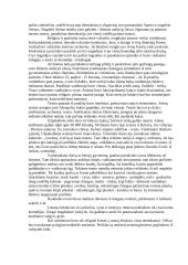 Senovės Graikija ir jos dievai 9 puslapis