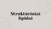 Struktūriniai lipidai