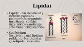 Struktūriniai lipidai 2 puslapis