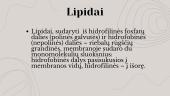 Struktūriniai lipidai 3 puslapis