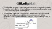 Struktūriniai lipidai 7 puslapis