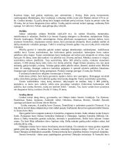 Senovės Graikija, jos istorija bei gyventojai 4 puslapis