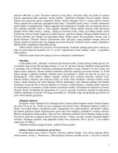 Senovės Graikija, jos istorija bei gyventojai 5 puslapis