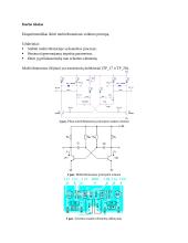 Multivibratorius. Laboratorinis darbas