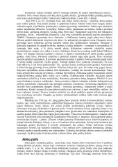 Senovės graikų civilizacija 3 puslapis