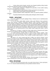 Senovės graikų civilizacija 7 puslapis