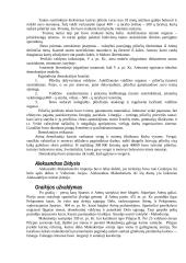 Senovės graikų civilizacija 8 puslapis