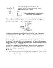 Plonų puslaidininkių sluoksnių laidumo tyrimas 2 puslapis