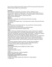 Šumero - Akado civilizacija 2 puslapis