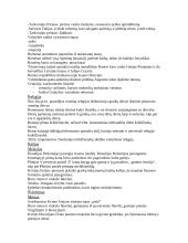 Šumero - Akado civilizacija 13 puslapis