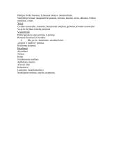 Šumero - Akado civilizacija 14 puslapis