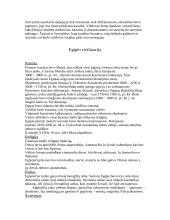 Šumero - Akado civilizacija 3 puslapis