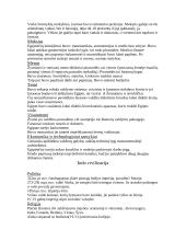 Šumero - Akado civilizacija 4 puslapis