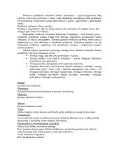 Šumero - Akado civilizacija 5 puslapis