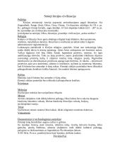 Šumero - Akado civilizacija 6 puslapis