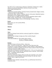 Šumero - Akado civilizacija 10 puslapis