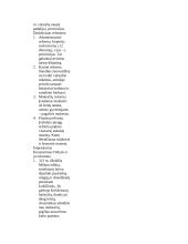 Senovės Romos ir Graikijos imperijos 12 puslapis