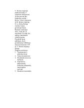 Senovės Romos ir Graikijos imperijos 14 puslapis