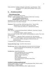 Skeleto sistemos patologija 2 puslapis