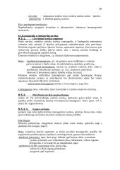 Skeleto sistemos patologija 16 puslapis