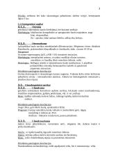 Skeleto sistemos patologija 3 puslapis