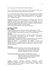 Skeleto sistemos patologija 7 puslapis