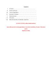 Informacijos ir žinių valdymo auditas įmonėje UAB Mokesčių srautas - countline