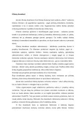 Informacijos ir žinių valdymo auditas įmonėje UAB Mokesčių srautas - countline 10 puslapis