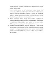 Informacijos ir žinių valdymo auditas įmonėje UAB Mokesčių srautas - countline 18 puslapis