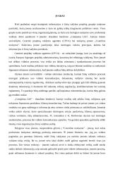 Informacijos ir žinių valdymo auditas įmonėje UAB Mokesčių srautas - countline 2 puslapis