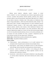 Informacijos ir žinių valdymo auditas įmonėje UAB Mokesčių srautas - countline 4 puslapis