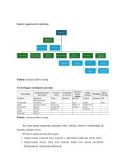 Informacijos ir žinių valdymo auditas įmonėje UAB Mokesčių srautas - countline 5 puslapis