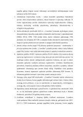 Informacijos ir žinių valdymo auditas įmonėje UAB Mokesčių srautas - countline 7 puslapis