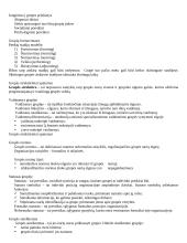 Socialinės psichologijos temos 13 puslapis