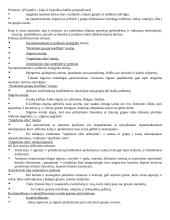 Socialinės psichologijos temos 10 puslapis
