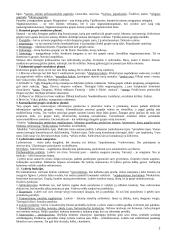 Socialinės psichologijos pasiruošimas atsiskaitymui 2 puslapis