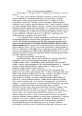 Specialiosios pedagogikos konspektas 3 puslapis