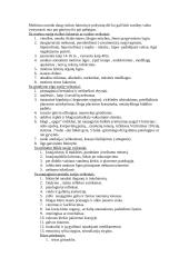 Specialiosios pedagogikos konspektas 4 puslapis